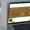 Création de Site vitrine de société Immobilier Zarrad